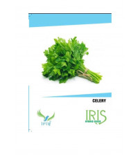 Iris Imported Celery 350 Seeds